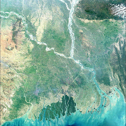 Biodiversity Under Threat