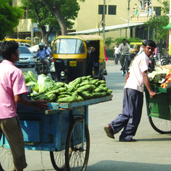 Challenges of Urbanisation: Inequalities in Bangalore