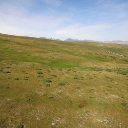 Carbon and Water Cycles in the Tundra